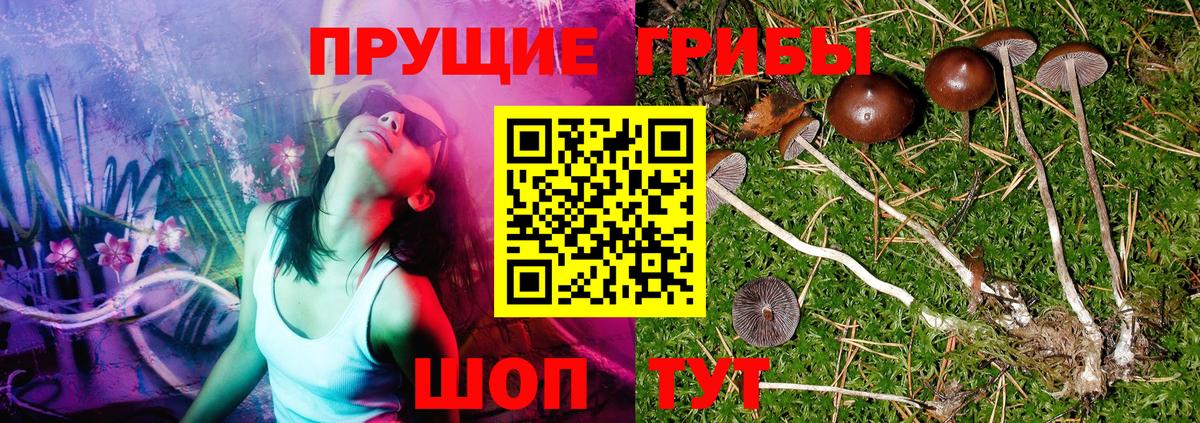 Петрозаводск  Галлюциногенные грибы GOLDEN TEACHER  Вход с VPN 